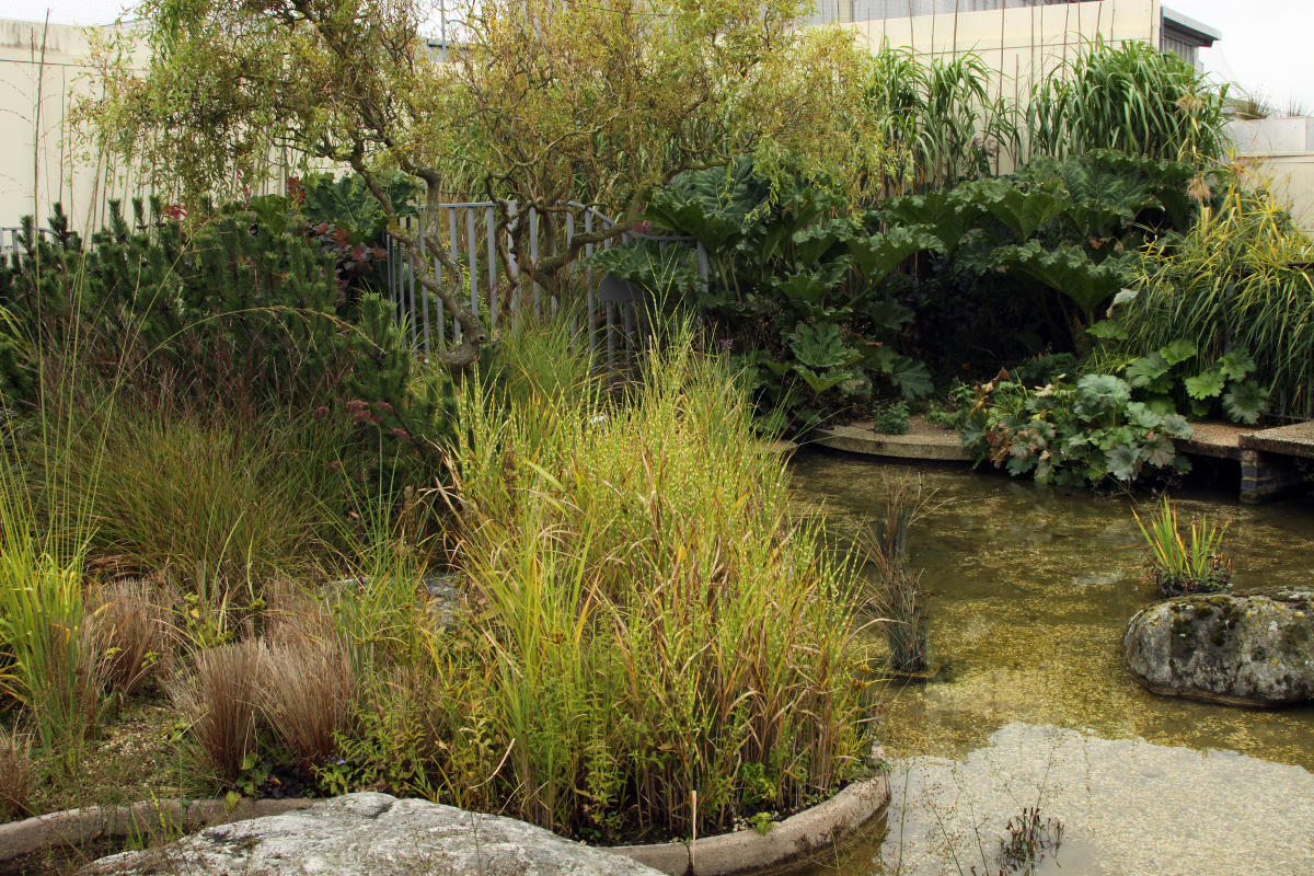 Jellicoe  Roof  Garden