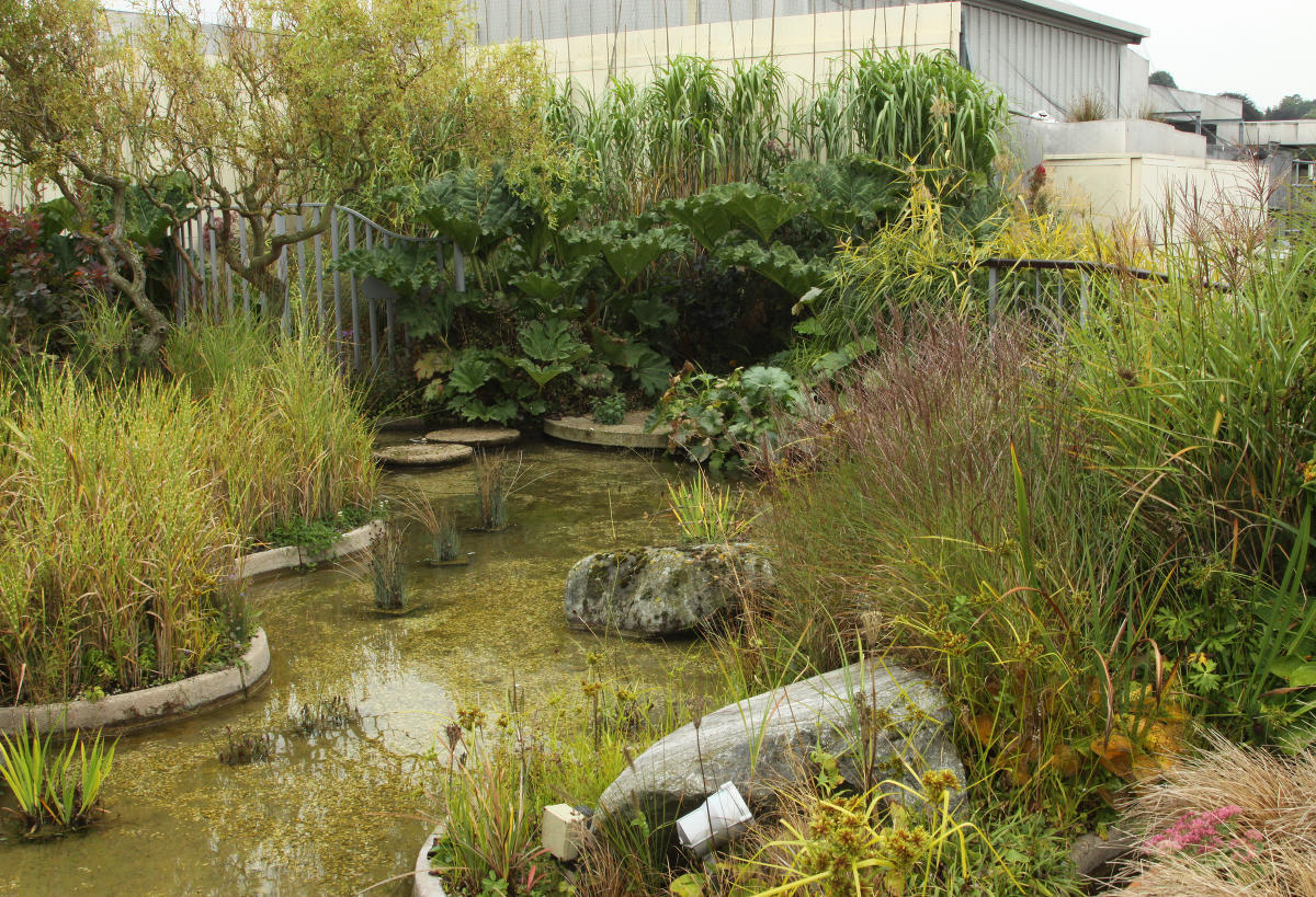 Jellicoe  Roof  Garden