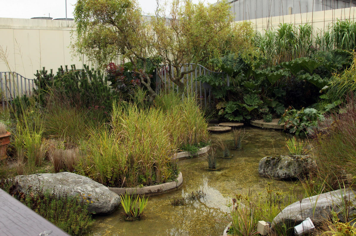 Jellicoe  Roof  Garden