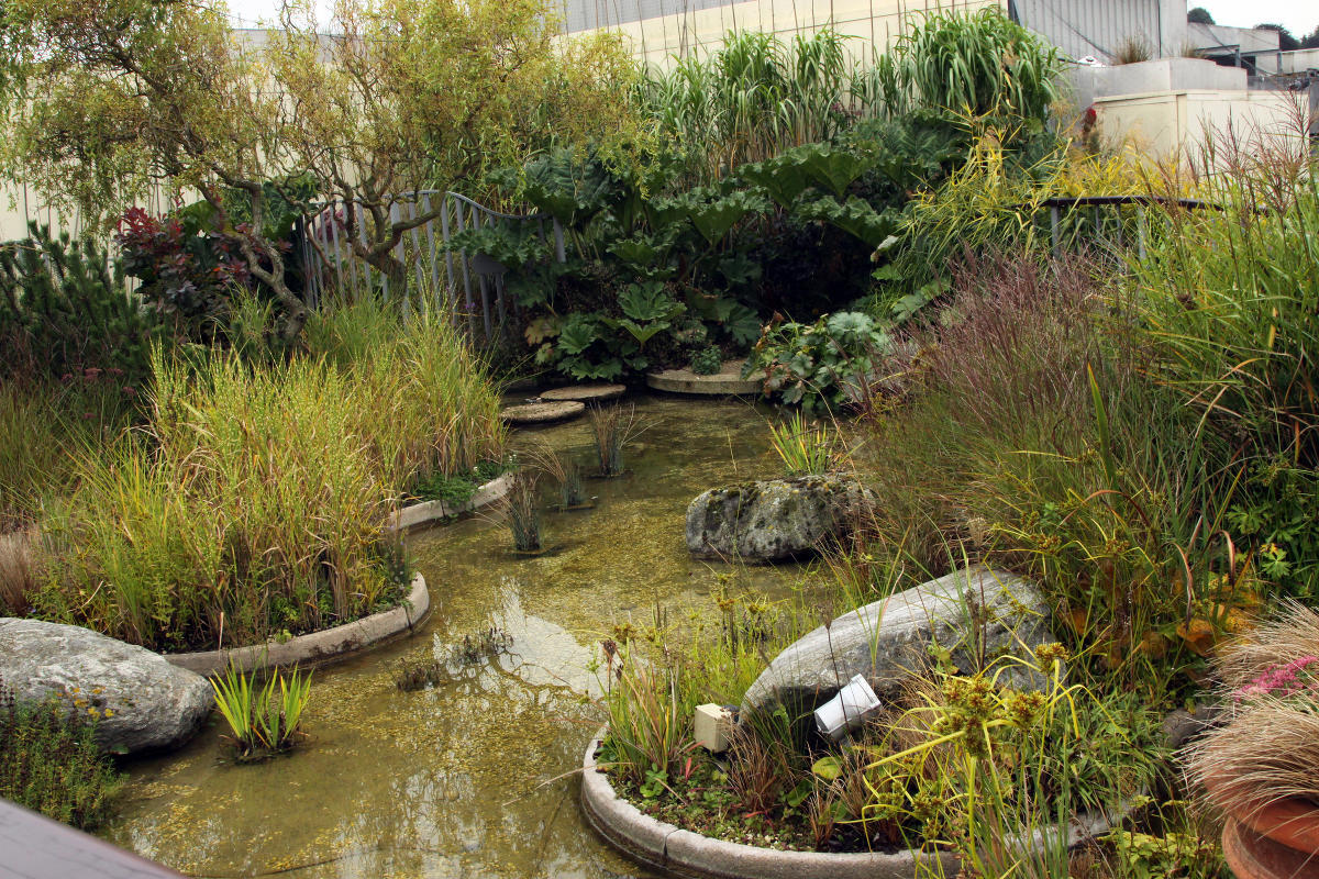 Jellicoe  Roof  Garden