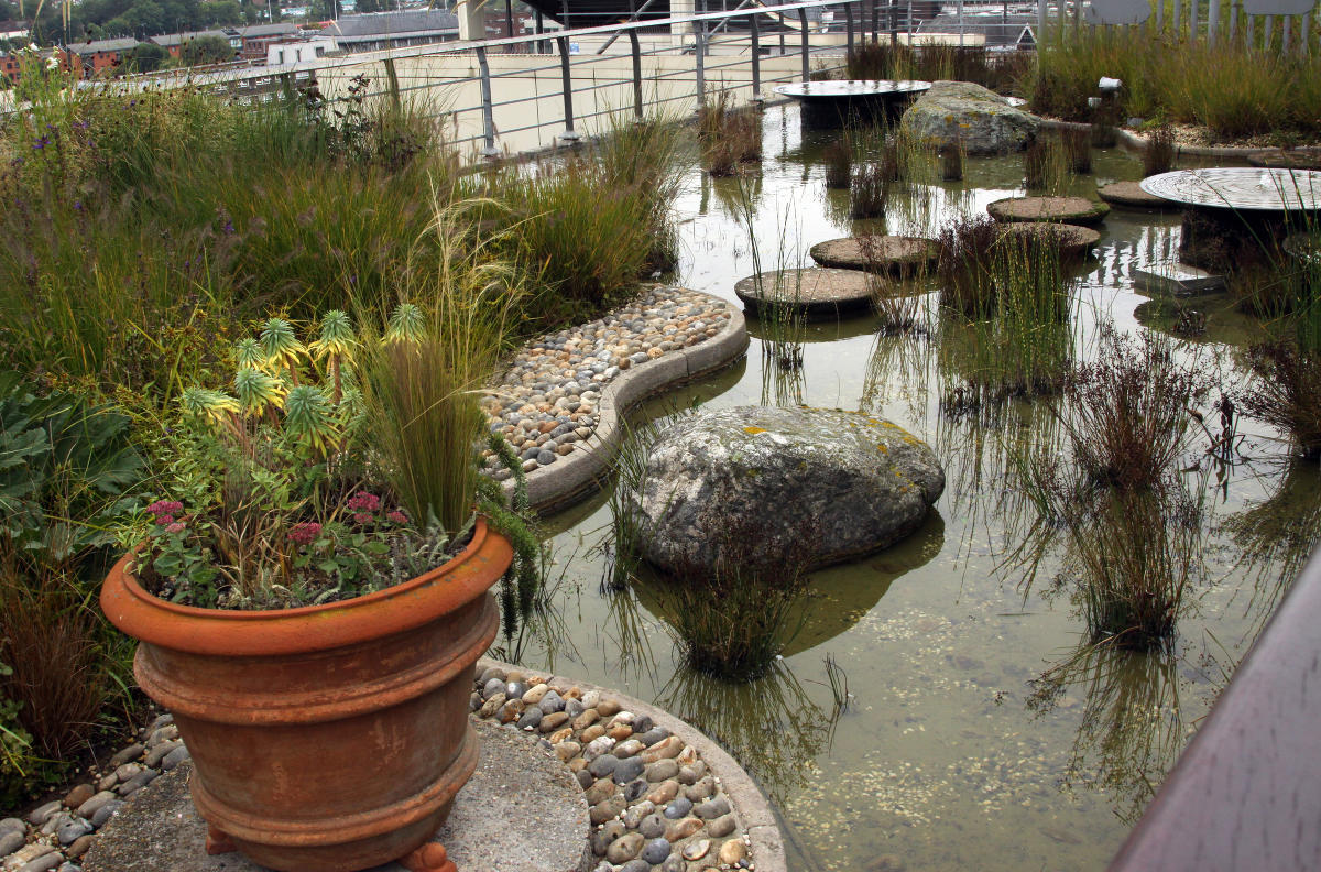 Jellicoe  Roof  Garden