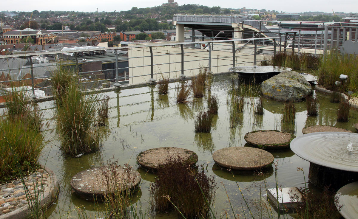 Jellicoe  Roof  Garden