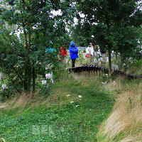 Show Garden. The Badger Beer Garden 