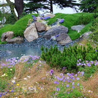 World Garden.  Швейцарский альпийский сад