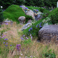 World Garden.  Швейцарский альпийский сад