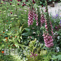 The HESCO Garden