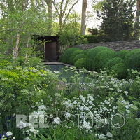 Том Стюард-Смитт The Laurent-Perrier Garden 