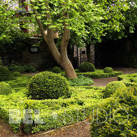 Dunbar's Close Garden (Сад Данбарс Клоуз) Эдинбург