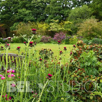 Malleny House Garden (Сады дома Мэллени). Балерно  