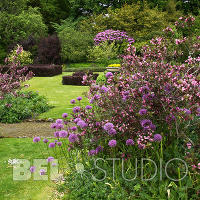 Malleny House Garden (Сады дома Мэллени). Балерно  