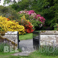 Scone Palace Gardens (Сады при дворце Скоун). Перт 