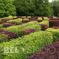 Лабиринт Scone Palace Gardens. 