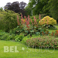 Scone Palace Gardens (Сады при дворце Скоун). Перт  