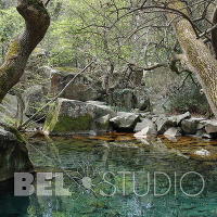 Алупкинский дворцовый парк