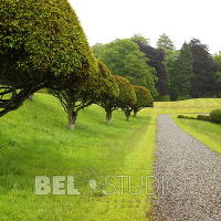 Drummond Castle Gardens 