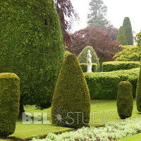 Drummond Castle Gardens 