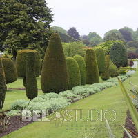 Drummond Castle Gardens 