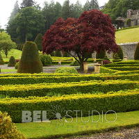 Drummond Castle Gardens 