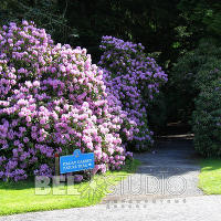 Glamis Castle Gardens . Шотландия