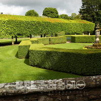 Итальянский сад. Glamis Castle Gardens 