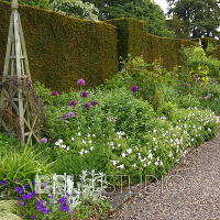 Итальянский сад. Glamis Castle Gardens 