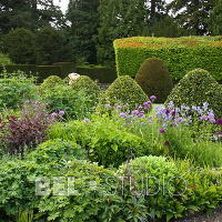 Итальянский сад. Glamis Castle Gardens 