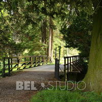 Glamis Castle Gardens. Хвойный дендрарий 