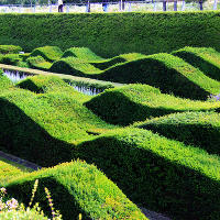 Thames Barrier Park. Лондон. июль
