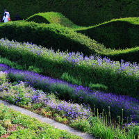 Thames Barrier Park. Лондон. июль
