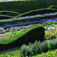 Thames Barrier Park. Лондон. июль
