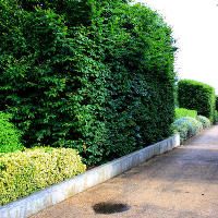 Thames Barrier Park. Лондон.