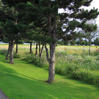 Thames Barrier Park. Лондон.