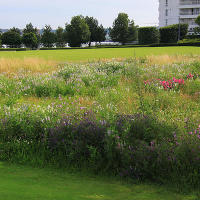 Thames Barrier Park. Лондон.