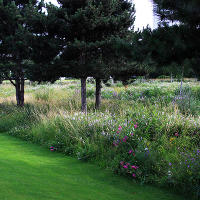 Thames Barrier Park. Лондон.