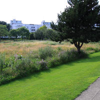 Thames Barrier Park. Лондон.