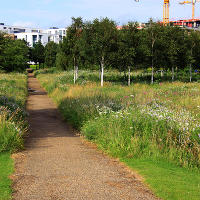 Thames Barrier Park. Лондон.