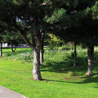 Thames Barrier Park. Лондон.