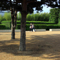 Thames Barrier Park. Лондон. лето, июль