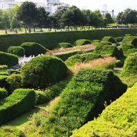 Thames Barrier Park. Лондон. лето, июль