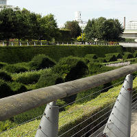 Thames Barrier Park. Лондон. осень, сентябрь