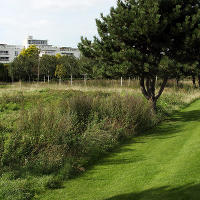 Thames Barrier Park. Лондон. осень, сентябрь