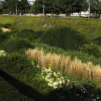 Thames Barrier Park. Лондон. осень, сентябрь