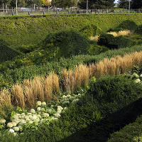 Thames Barrier Park. Лондон. осень, сентябрь