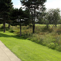 Thames Barrier Park. Лондон. осень, сентябрь