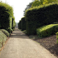 Thames Barrier Park. Лондон. осень, сентябрь