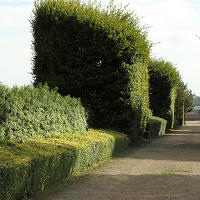 Thames Barrier Park. Лондон. осень, сентябрь