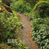 Branklyn Garden.  Шотландия. Перт