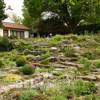 Branklyn Garden.  (Сад Бранклин) Шотландия.Перт