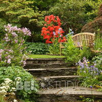 Branklyn Garden.  Шотландия. Перт