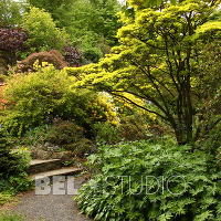 Branklyn Garden.  Шотландия. Перт